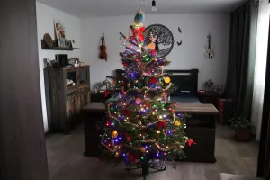 Fotka k příspěvku