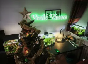 Fotka k příspěvku