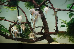 Fotka k příspěvku