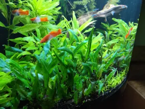 Fotka k příspěvku