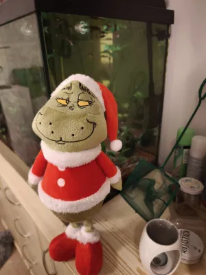 Fotka k příspěvku