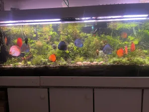 Fotka k příspěvku