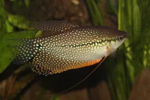 Fotka k příspěvku