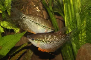 Fotka k příspěvku