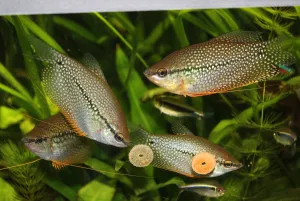 Fotka k příspěvku