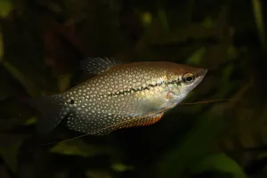 Fotka k příspěvku