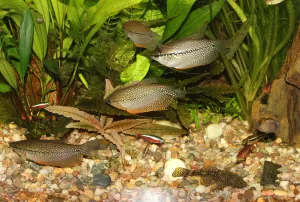 Fotka k příspěvku