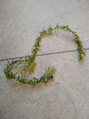 Fotka k příspěvku