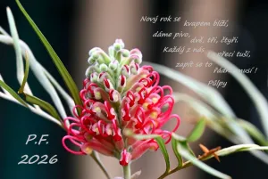 Fotka k příspěvku