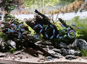 Fotka k příspěvku