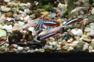 Fotka k příspěvku