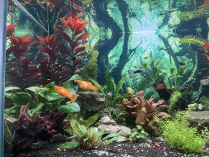 Fotka k příspěvku