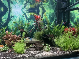 Fotka k příspěvku