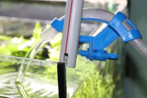 Fotka k příspěvku