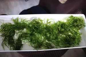 Fotka k příspěvku