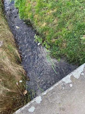 Fotka k příspěvku