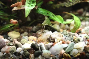 Fotka k příspěvku