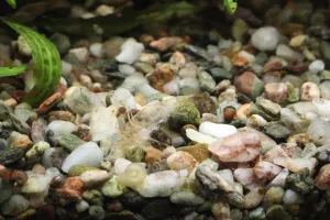 Fotka k příspěvku