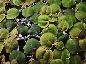 Fotka k příspěvku