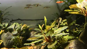 Fotka k příspěvku