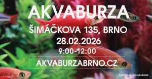 Fotka k příspěvku