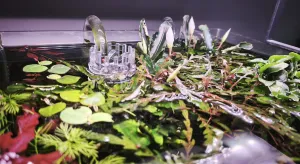 Fotka k příspěvku