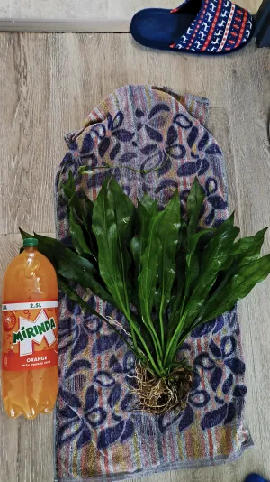 Fotka k příspěvku