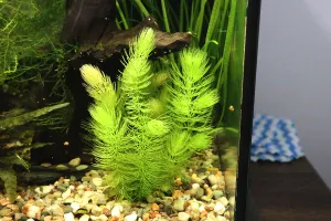 Fotka k příspěvku