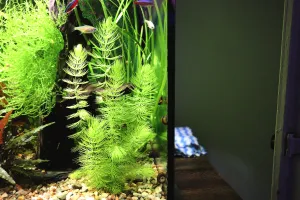 Fotka k příspěvku