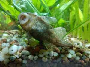 Fotka k příspěvku