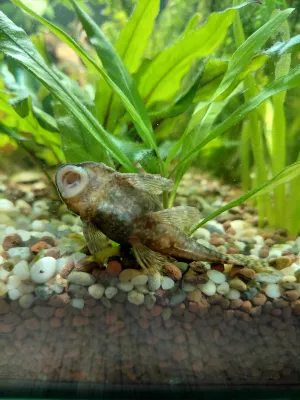 Fotka k příspěvku