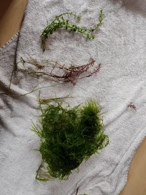 Fotka k příspěvku