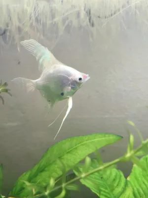 Fotka k příspěvku