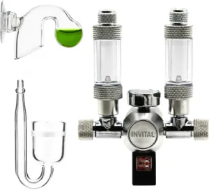 Fotka k příspěvku