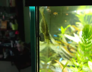 Fotka k příspěvku