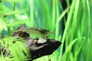 Fotka k příspěvku