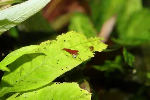 Fotka k příspěvku