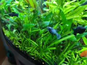 Fotka k příspěvku