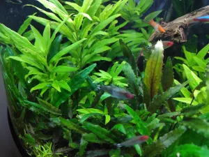 Fotka k příspěvku