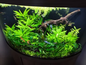 Fotka k příspěvku