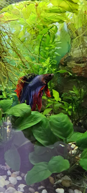 Fotka k příspěvku