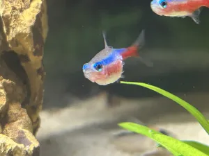 Fotka k příspěvku