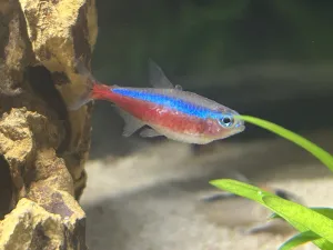 Fotka k příspěvku