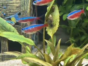 Fotka k příspěvku