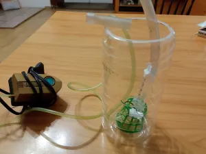 Fotka k příspěvku