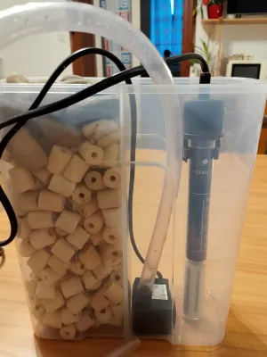 Fotka k příspěvku