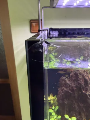 Fotka k příspěvku