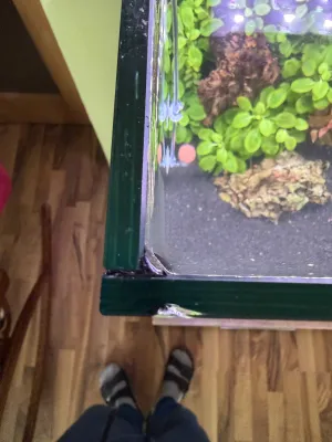 Fotka k příspěvku