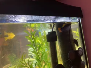 Fotka k příspěvku