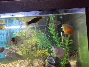 Fotka k příspěvku